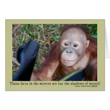 Curious Face in the Mirror Cards