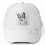 Curious hats