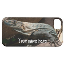 Curious Iguana; Customisable