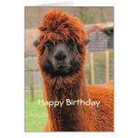 Curious Llama ~ card