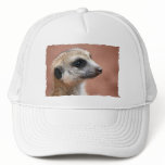 Curious Meerkat Baseball Cap Mesh Hats