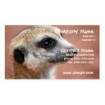 Curious Meerkat Business Card