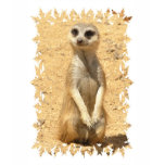 Curious Meerkat Children's T-Shirt
