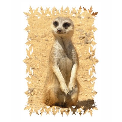 Curious Meerkat Children`s T-Shirt