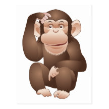 Curious Monkey Post Card