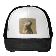 Curious Otter Baseball Cap Hat