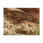 Curious.... postcards