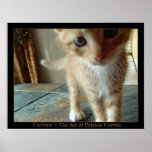 Curious posters