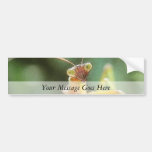 Curious Praying Mantis Bumper Sticker