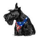 Curious Scottish Terrier Patriotic t-shirts
