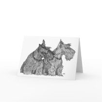 Curious Scottish Terriers Pen & Ink Sketch Card