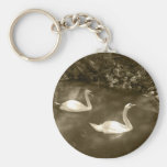 Curious Swans Keychain