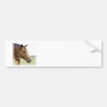 Curious Thoroughbred Bumper Sticker