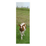 Curious Young Cow Photo Bookmark Gift business cards