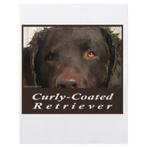 Curly-Coated Retriever Flyer