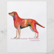 Curly-Coated Retriever Full Colour Flyer