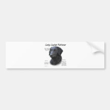 Curly-Coated Retriever History Design Bumper Sticker