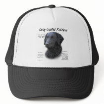 Curly-Coated Retriever History Design