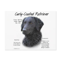 Curly-Coated Retriever History Design