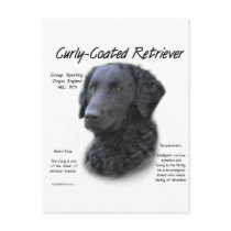 Curly-Coated Retriever History Design
