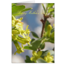Currant Blossoms Card