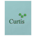 Curtis Family flyers