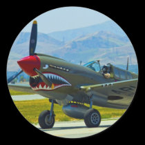 Curtis P-40 Warhawk stickers