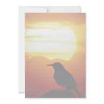 Curved bill thrasher on saguaro, Sonoran Desert, U Announcement