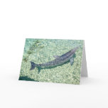 Curved Dolphin Underwater - Customised