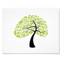 curved trunk simple leaf green tree.png photographic print
