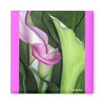 "Curvy Calla Lilles" Magnet