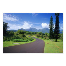 Curvy Hawaiian Road Photo