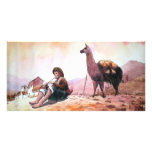 Cusco Peru Llama Picture photo cards