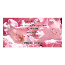 Custom Announcement Save the Date Photo Cards