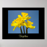 Custom Art Prints Gifts Daffodil Flowers Together