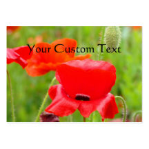 Custom Business Cards Red Poppy Flowers