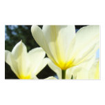 Custom Business Cards White Tulip Flowers