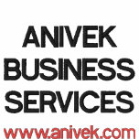 Custom Business Shirt embroidered shirts