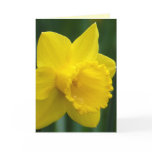 Custom Flower Card Personalised Daffodil Cards