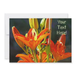 Custom Invitations Orange Lily Flowers Floral