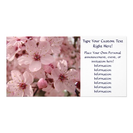 Custom Invitations Pink Spring Blossoms Parties Photo Greeting Card