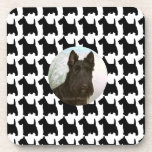 Custom Photo Black and White Scottish Terrier Coasters