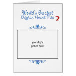Custom Photo! Worlds Greatest Afghan Hound Mix cards