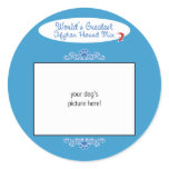 Custom Photo! Worlds Greatest Afghan Hound Mix stickers