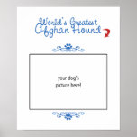 Custom Photo! Worlds Greatest Afghan Hound posters