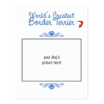 Custom Photo! Worlds Greatest Border Terrier Postcards