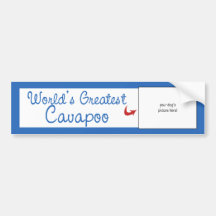Custom Photo! Worlds Greatest Cavapoo Bumper Sticker