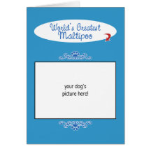 Custom Photo! Worlds Greatest Maltipoo Cards