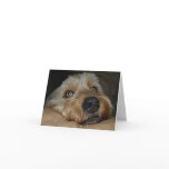 Customisable All-Occasion Greeting Card