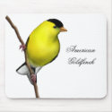Customisable American Goldfinch Mousepad